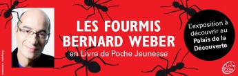 "Mille milliards de fourmis" : découvrez l'exposition au Palais de la Découverte