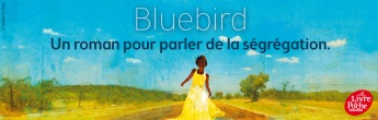 Bluebird, un roman pour parler de la ségragation